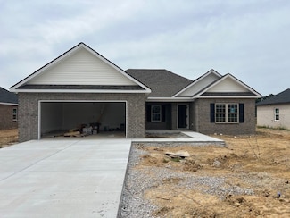 42 Brooklyn Ave, Manchester, TN 37355