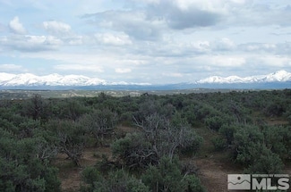 0 Buchanan Ave Unit 7 240013978, Ryndon, NV 89801