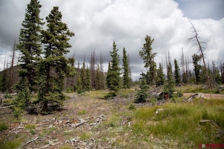 TBD Forest Rd 503 Rd, Creede, CO 81130