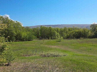 1923 Chapel Hill Dr, Bear Creek Township, MI 49770