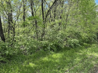 0 Mifflin Blvd Unit Lot 31 225014596, Mifflin Township, OH 43219