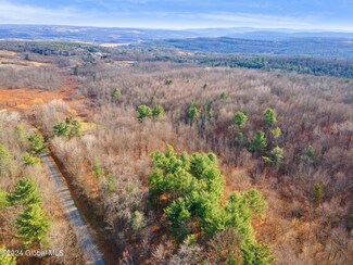 184 Curry Hill Rd, Sloansville, NY 12160
