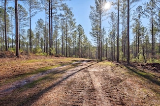 0 Faust Farm Rd, Crawford, GA 30630