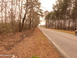 0 Hwy 43 Unit 4106706, Pelahatchie, MS 39145