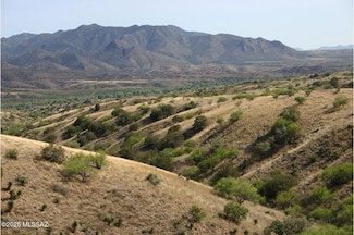 00 Proctor Ln Unit D-2, Patagonia, AZ 85624