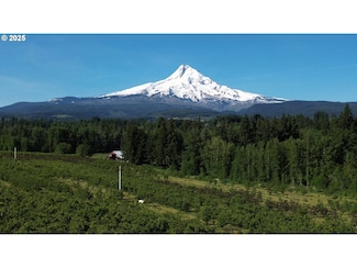 6765 Cooper Spur Rd, Mount Hood Prkdl, OR 97041