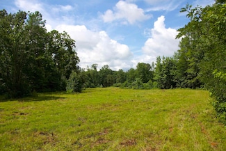 4970 Sardis Dr, Somerville, TN 38068