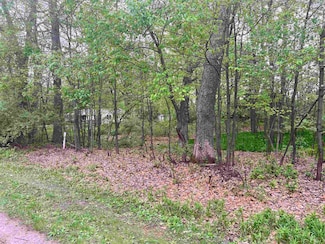 Lot 34 Seelinger Dr, Harrison, MI 48625