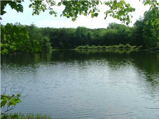 0 Frog Lake Rd Unit 1180190, Rising Fawn, GA 30738