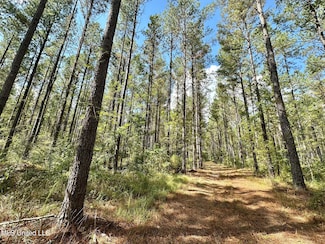 0 Highway 469 Unit 4128196, Florence, MS 39073