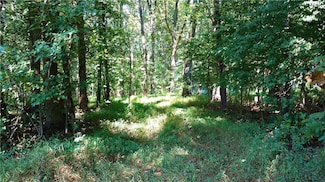 0 Patrick Henry Hwy, Jetersville, VA 23083