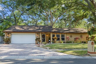 3617 Arlington Oaks Ct, Tampa, FL 33618