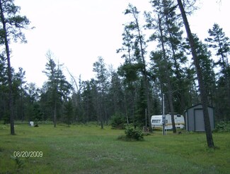 3974 Ontario Rd Unit (Parcel 12), Grayling Township, MI 49738