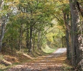 4075 Bridle Path Ln, Maysville, KY 41056
