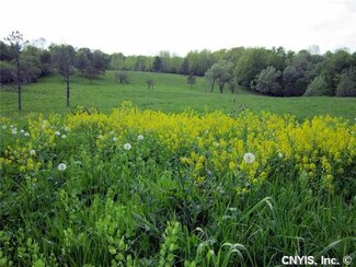 Lot 2 Michigan Rd, Cazenovia, NY 13035
