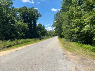 0 Steam Plant Rd Unit 157280, Forkland, AL 36740