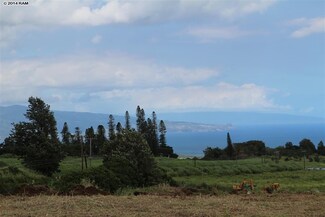 163 Kaluanui Rd Unit LOT 2, Makawao, HI 96768
