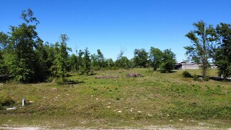 1473 Stone Mill Creek Rd, Wewahitchka, FL 32465