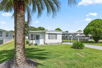 815 Roseapple Ave, Lady Lake, FL 32159