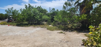 BK 7 LT 6 Coral Way, Big Pine Key, FL 33043