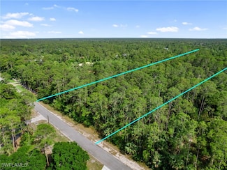 0 3rd Ave SW Unit 225050848, Naples, FL 34119