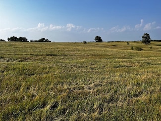 TBD Fm 2930, Blooming Grove, TX 76626