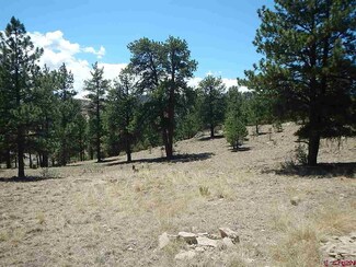 527 Church Creek Dr, South Fork, CO 81154