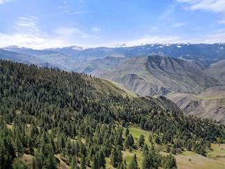 Tbd Salmon River, Riggins, ID 83549