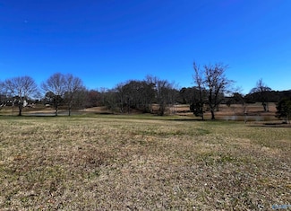 .93 Acres Whitesville Rd, Albertville, AL 35950