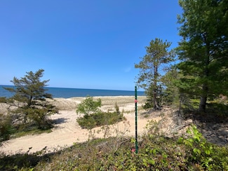 Parcel D County Road 412, McMillan Township, MI 49868