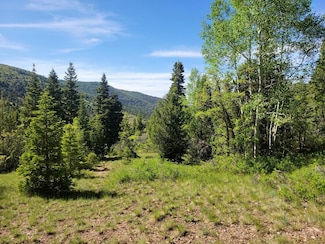 0 Braffits Creek Lot 61&62 Unit 22-232683, Brian Head, UT 84719