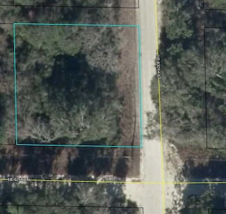 0 NE 830 St, Old Town, FL 32680