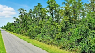 0 Paddock St Unit MFRO6330294, Orlando, FL 32833