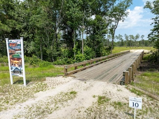 10 Kingibird, Rocky Point, NC 28457