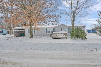 60 Pioneer Ln, Yorkshire, NY 14173