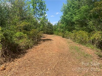 000 Doc Wehunt Rd, Cherryville, NC 28021