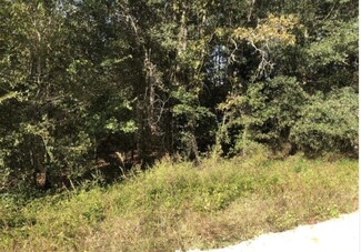0 Evans Ave Unit F10463133, Interlachen, FL 32148