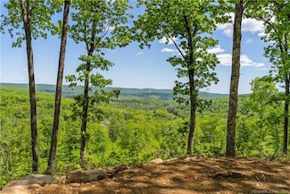 13 Dew Rd, Barkhamsted, CT 06063