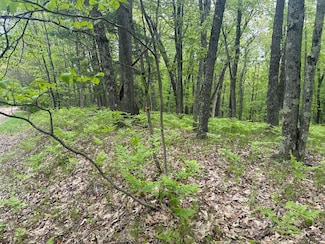 00 Oxpath, Baldwin, MI 49304