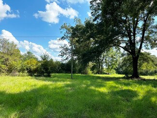 0 Wallsmith Rd, Wiggins, MS 39577