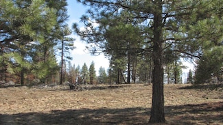 9 Canadian Honker Ln, Chiloquin, OR 97639
