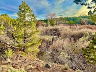 4665 S 9 8 10 Rd, Glade Park, CO 81523