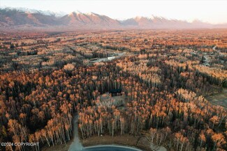 4333 E Harman Loop, Fishhook, AK 99654