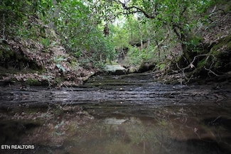 Lot 80 Long Branch Rd, Spencer, TN 38585