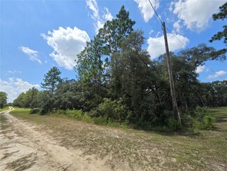 TBD SW 122nd Ave, Dunnellon, FL 34432