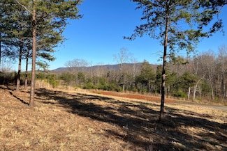 LOT 5 Jfk Blvd, Union Hall, VA 24176