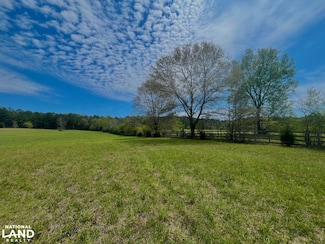 0 Alabama 145 Unit 23079568, Shelby, AL 35143