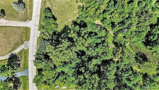 0 Shinanguag Dr Unit 20251029355, Goodrich Vlg, MI 48438