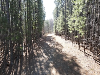 1430 Cleveland Farms Rd, Locust Grove, GA 30248