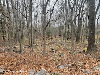 0 Crest View Dr 45 Aka Birch Dr, Blakeslee, PA 18610